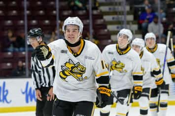 Sarnia Sting's Ben Pickell, photo by Metcalfe Photography. 