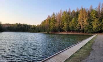  Allan Park Conservation Area. Photo provided by Saugeen Valley Conservation Authority. 