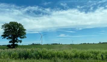 Crops rise on a hot summer day. July 4, 2020 Photo by Melanie Irwin 