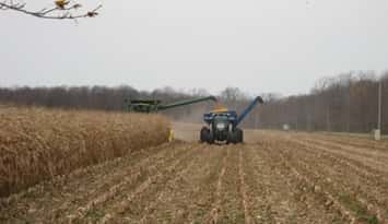 Harvesting. (CKNXNewsToday.ca photo by Bob Montgomery)